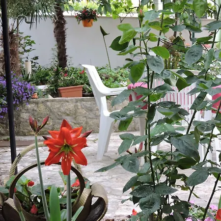 Apartman In - Istrien 38207 Vodnjan